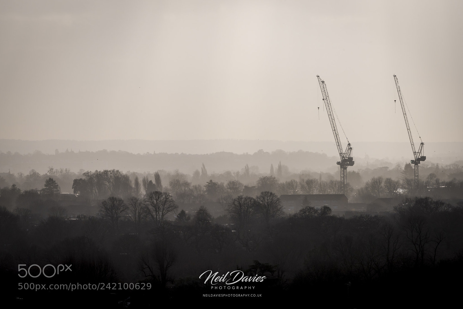 Nikon D810 sample photo. Untitled photography