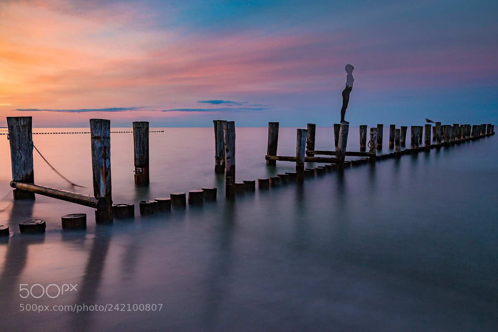 Canon EOS 650D (EOS Rebel T4i / EOS Kiss X6i) sample photo. Untitled photography