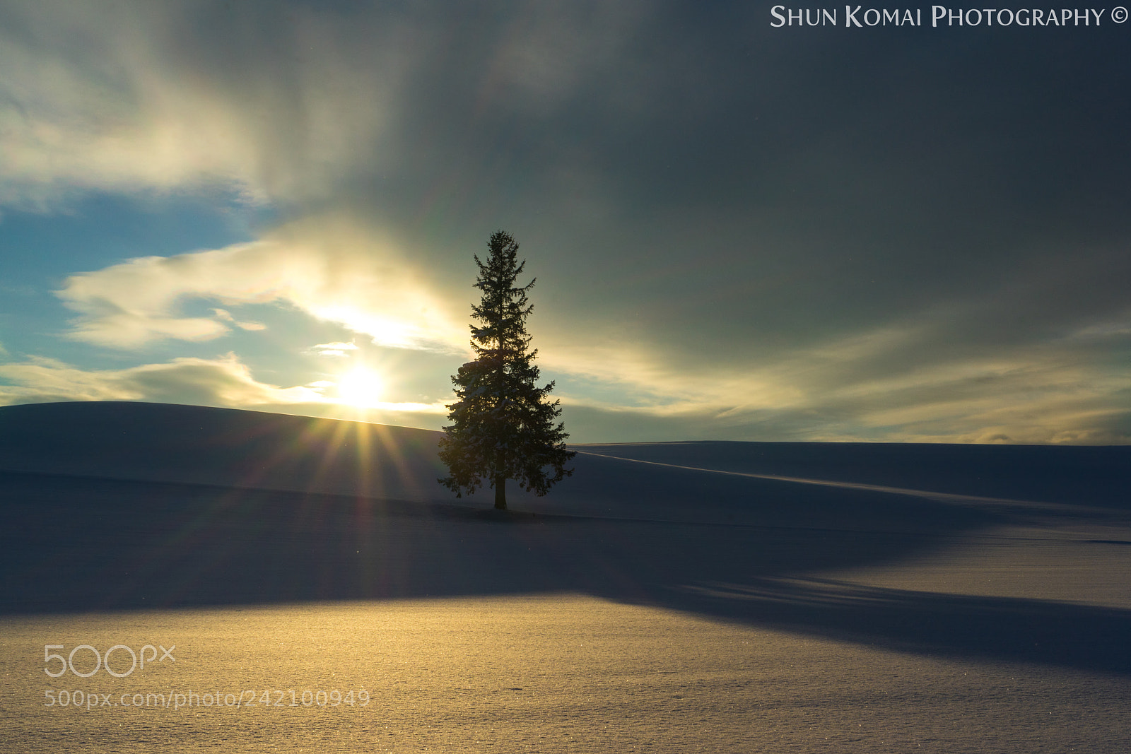 Sony a7 sample photo. Winter ensemble photography
