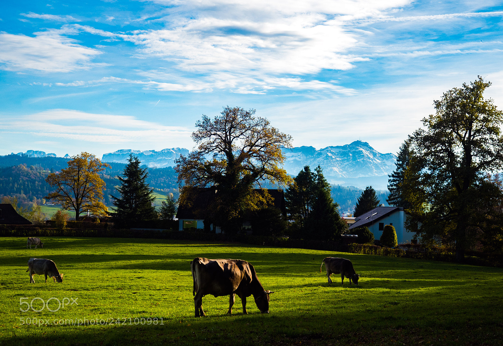 Olympus PEN-F sample photo. Mountain view photography