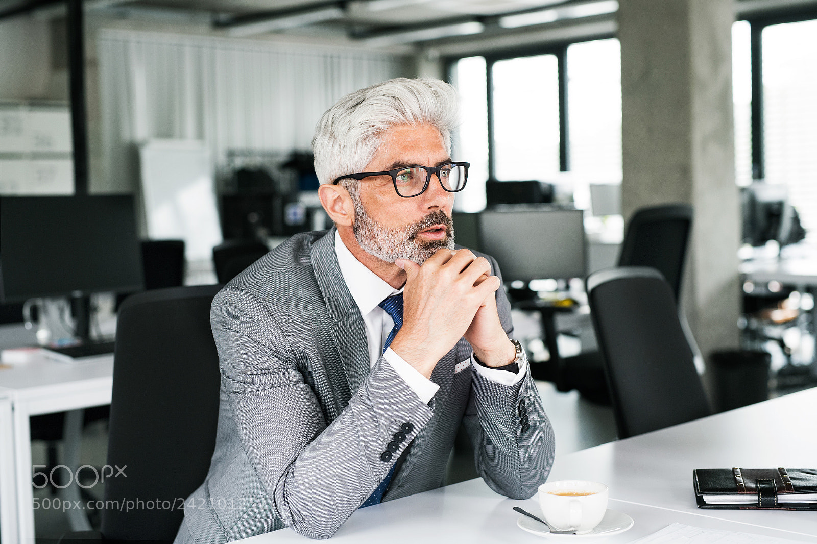 Nikon D5 sample photo. Mature businessman in gray photography