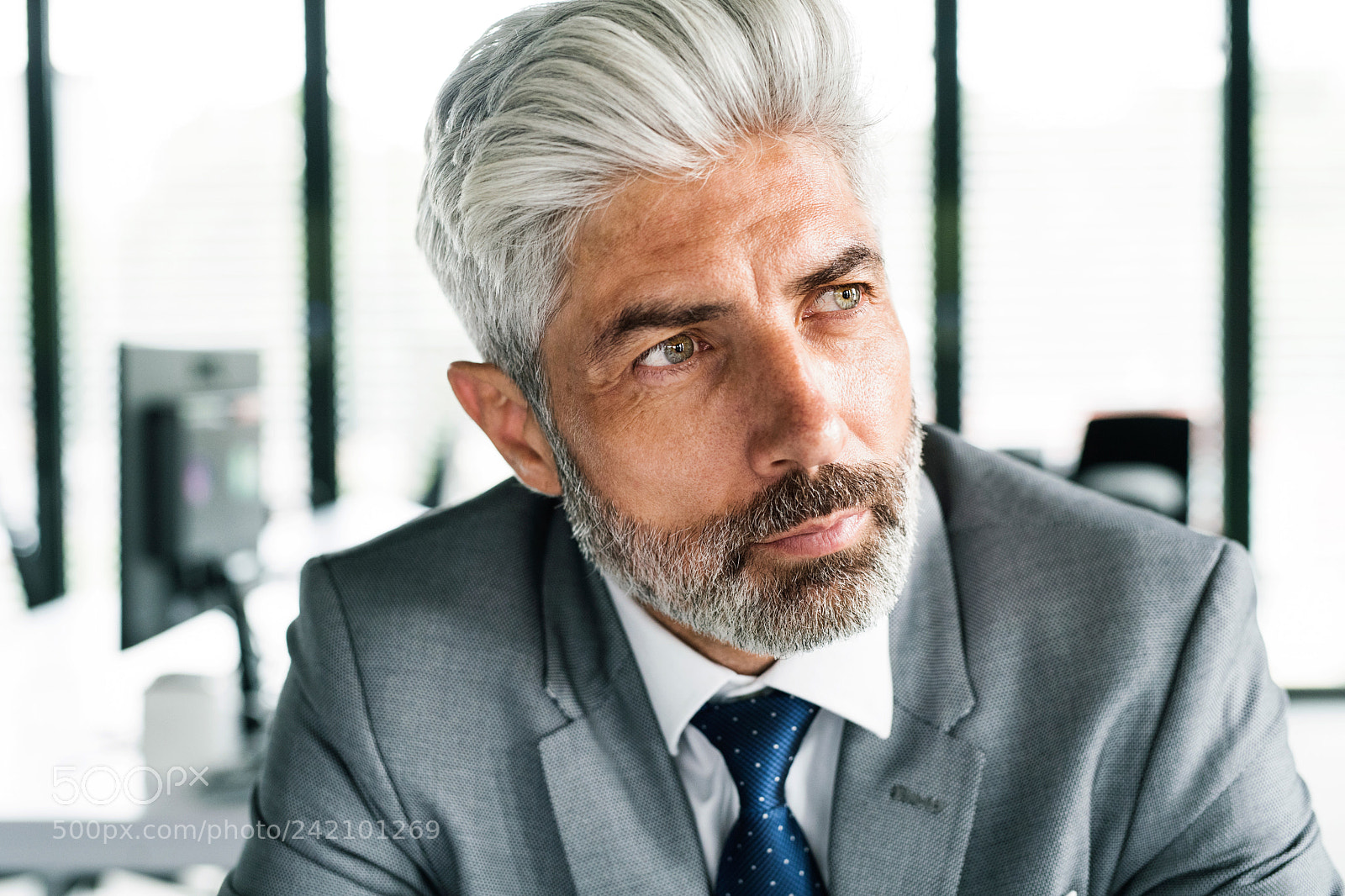 Nikon D5 sample photo. Mature businessman in gray photography