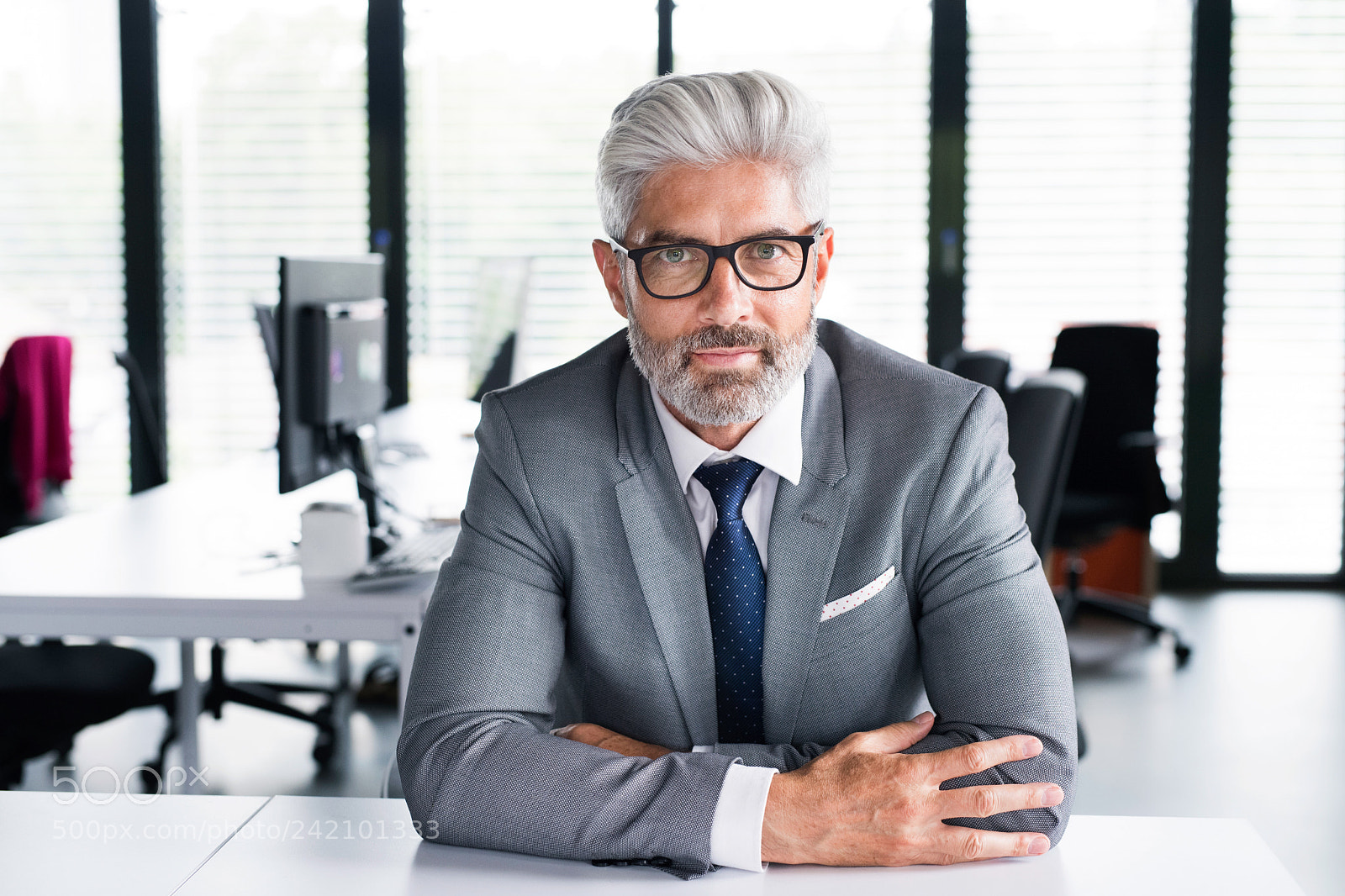 Nikon D5 sample photo. Mature businessman in gray photography