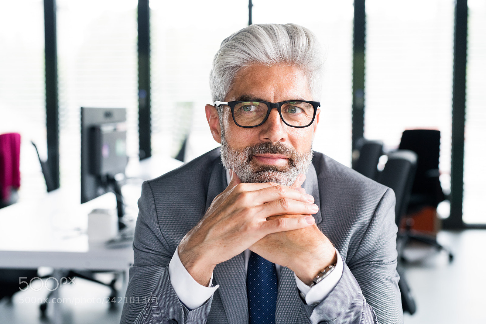 Nikon D5 sample photo. Mature businessman in gray photography