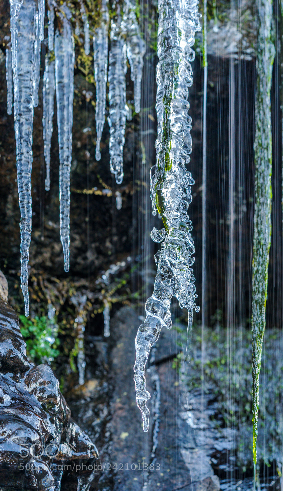 Sony a7 sample photo. Ice stalactites ii photography