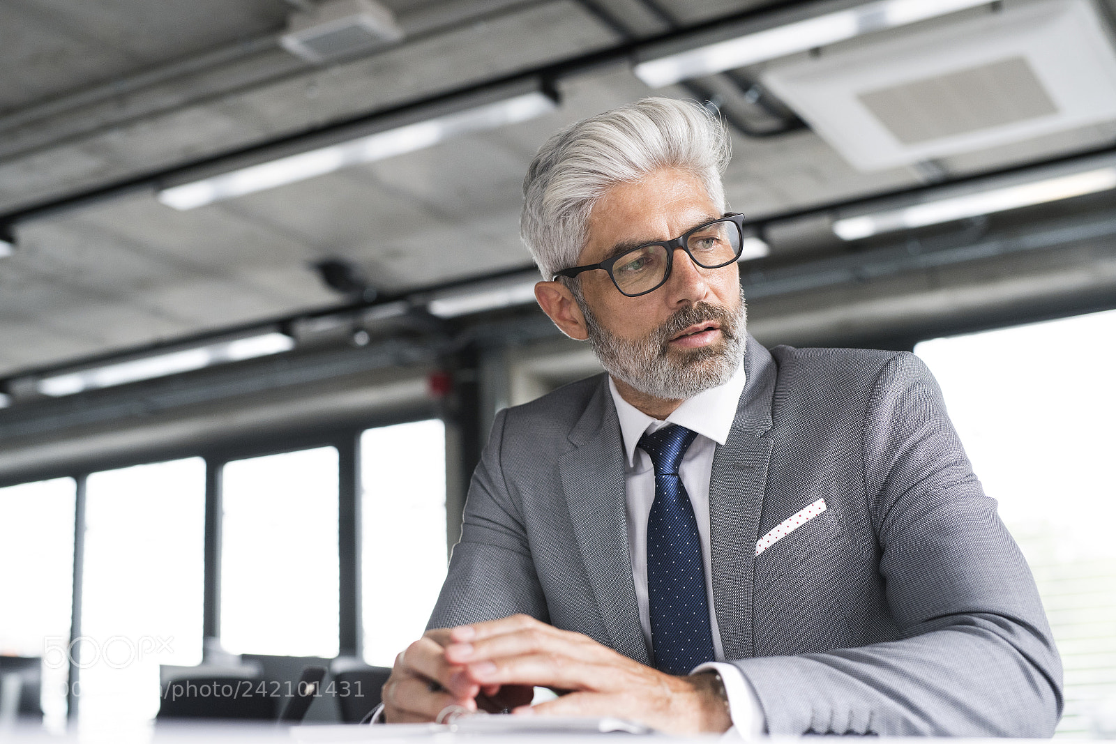 Nikon D5 sample photo. Mature businessman in gray photography