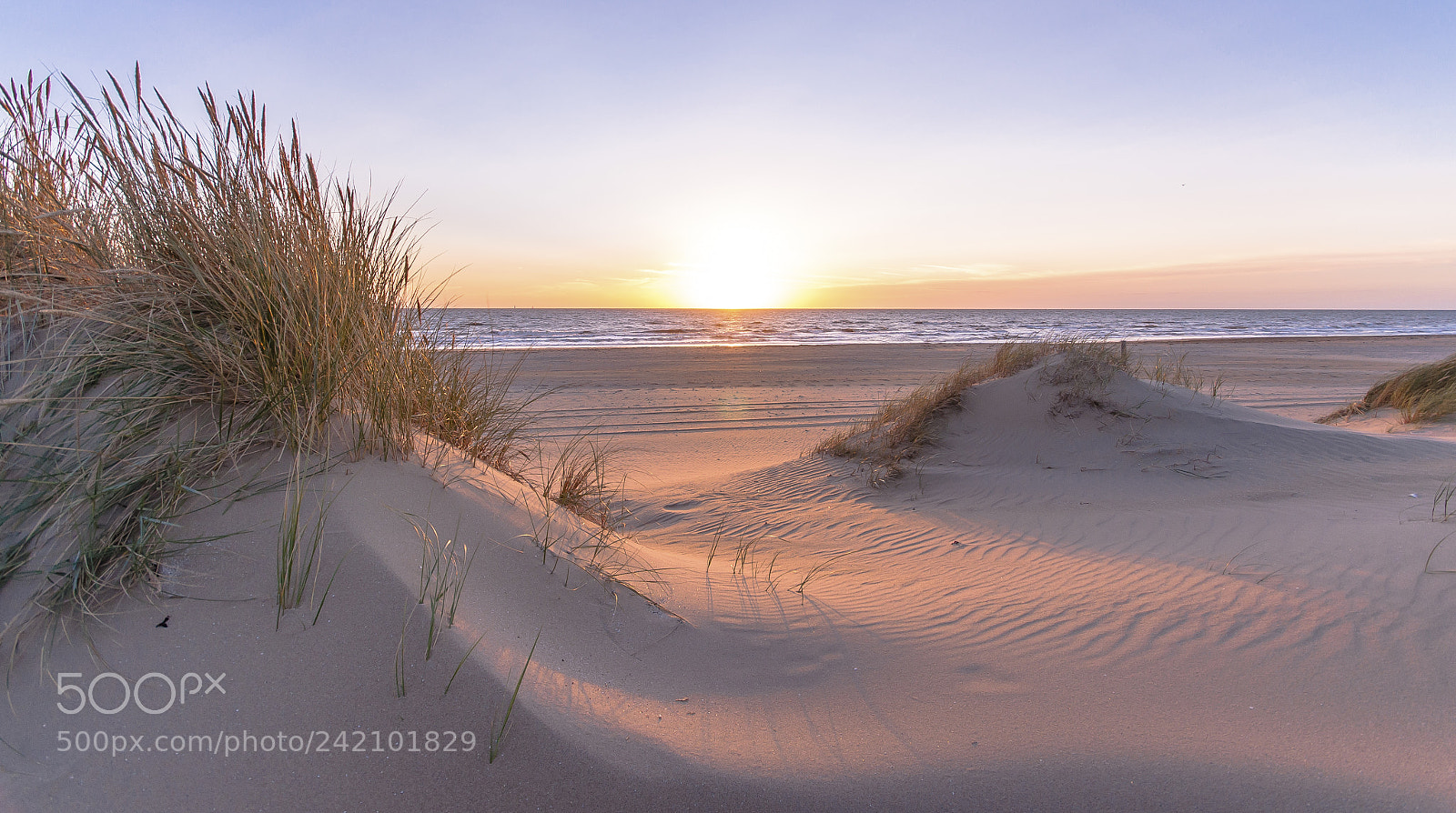 Nikon D90 sample photo. Sunset on the north photography