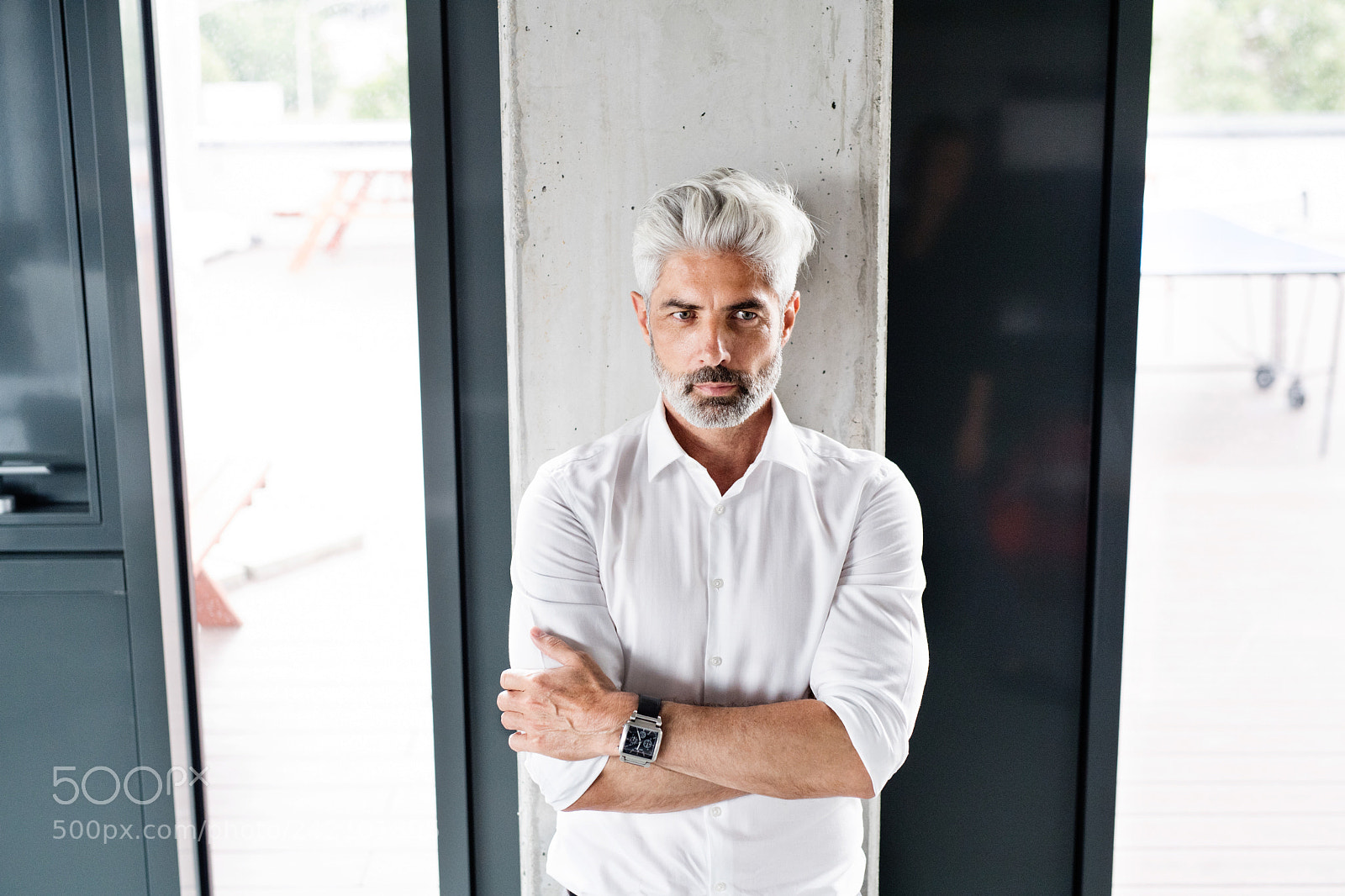Nikon D5 sample photo. Mature businessman with gray photography