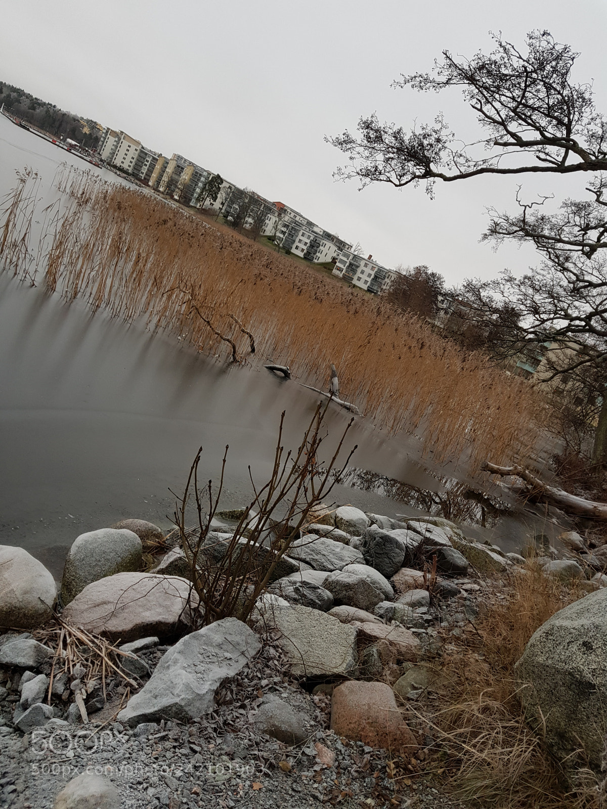 Samsung Galaxy S8 sample photo. Untitled photography