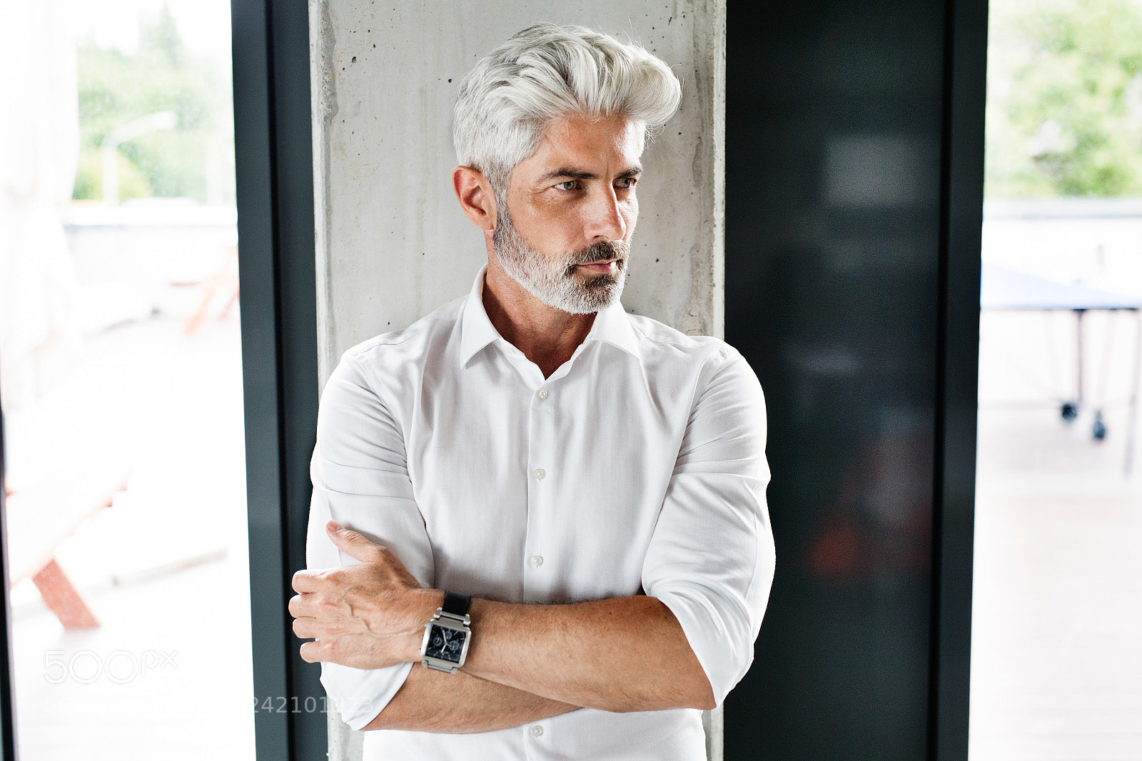 Nikon D5 sample photo. Mature businessman with gray photography