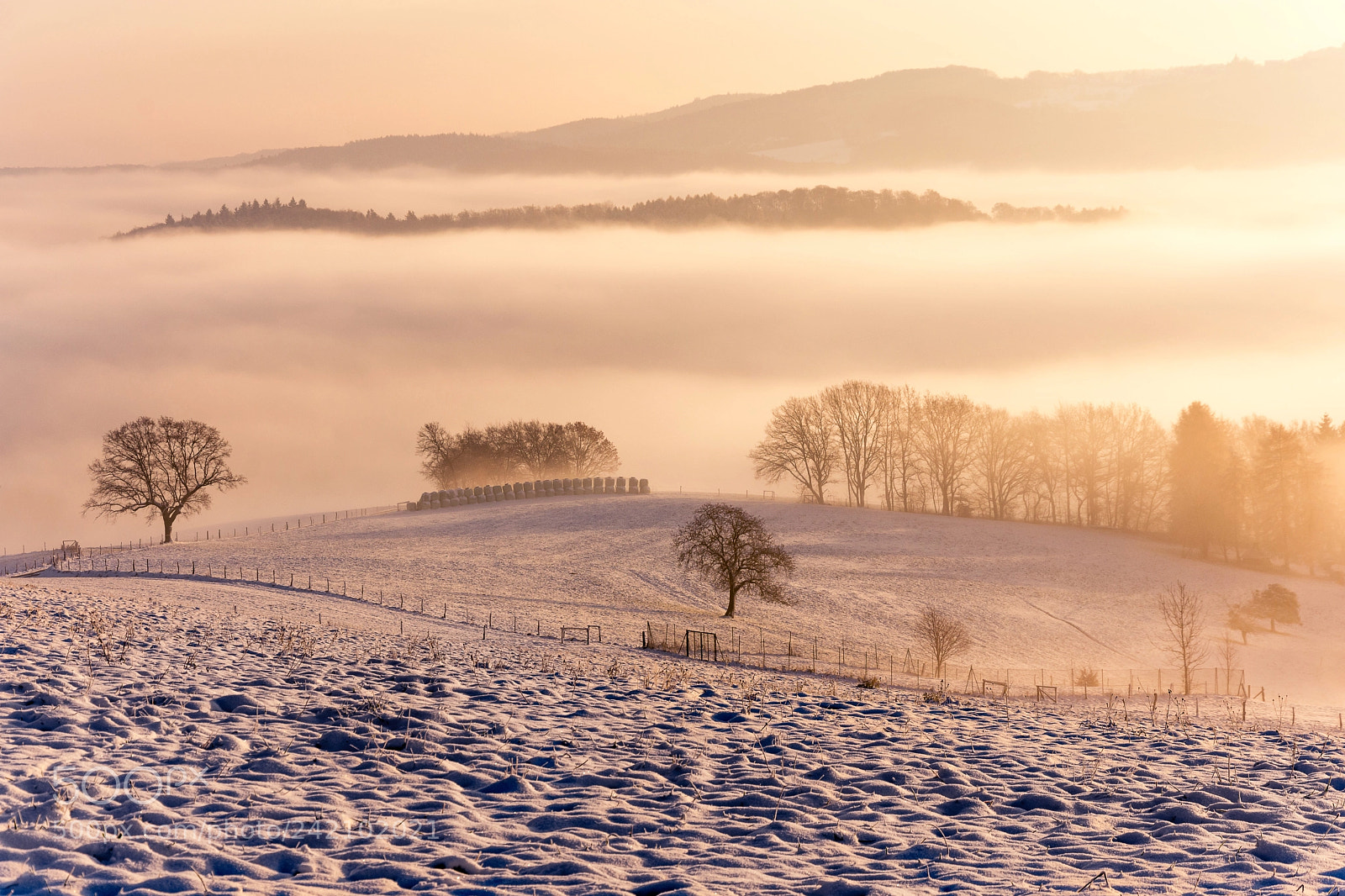 Nikon D7200 sample photo. Sea of fog on photography