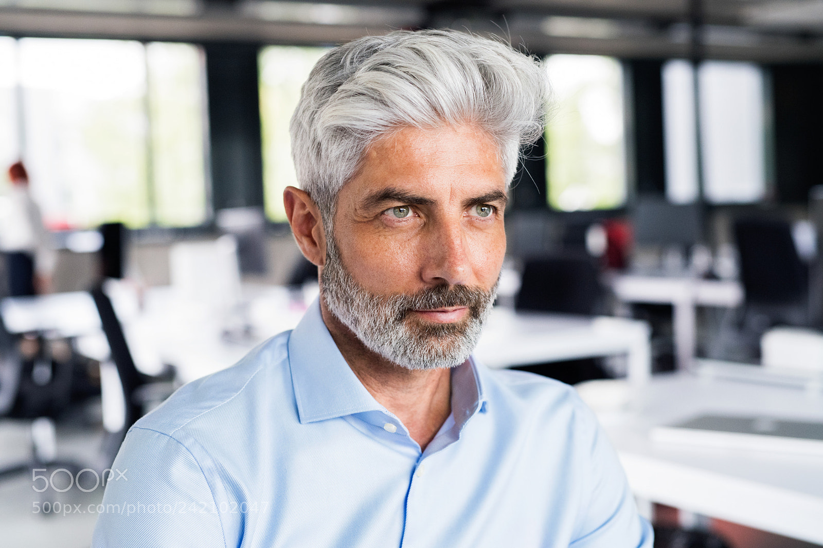 Nikon D5 sample photo. Thoughtful mature businessman in photography