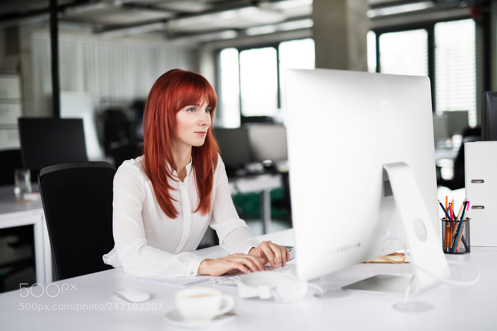 Nikon D5 sample photo. Businesswoman with computer in photography