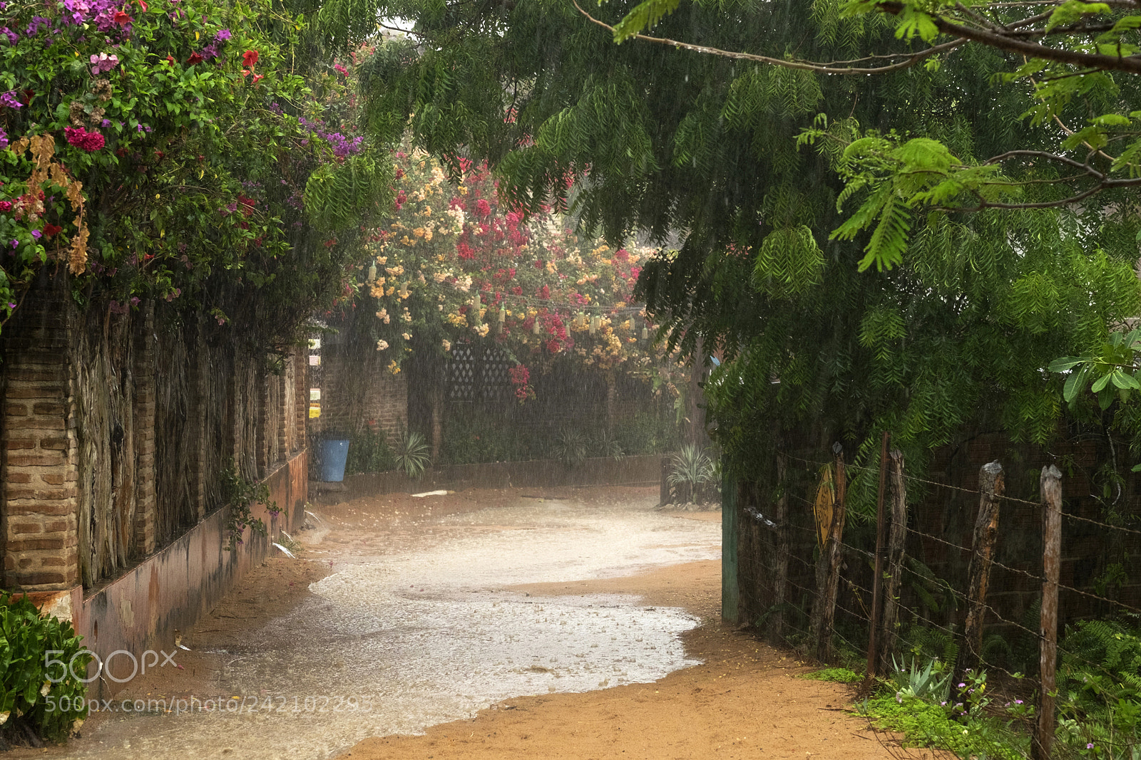 Fujifilm X-T1 sample photo. Raining in jericoacoara photography