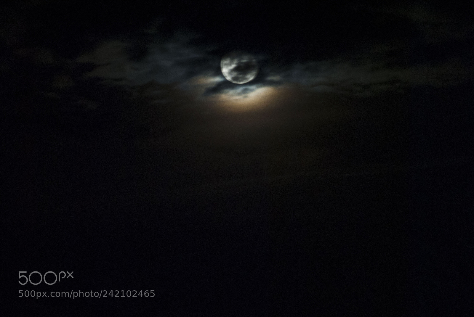 Nikon D3000 sample photo. Beautiful night surrounded by photography
