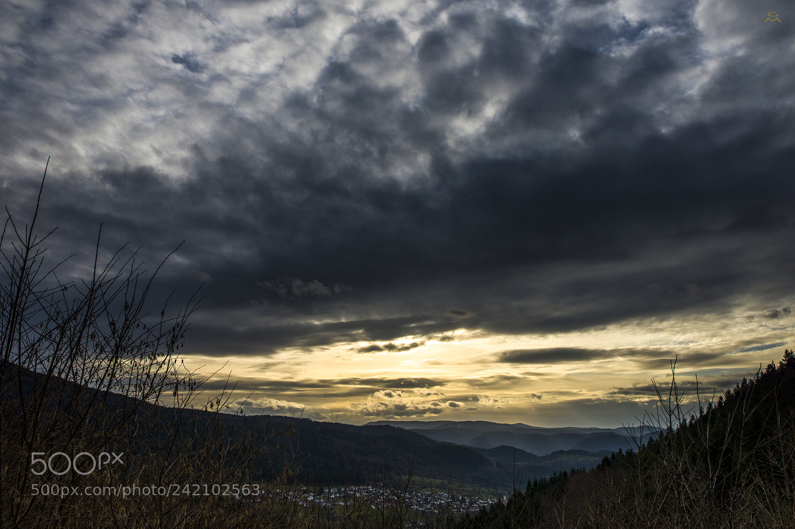 Nikon D800 sample photo. Black forest - 2 photography