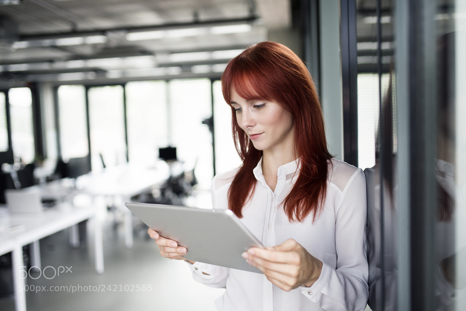 Nikon D5 sample photo. Businesswoman with tablet in photography