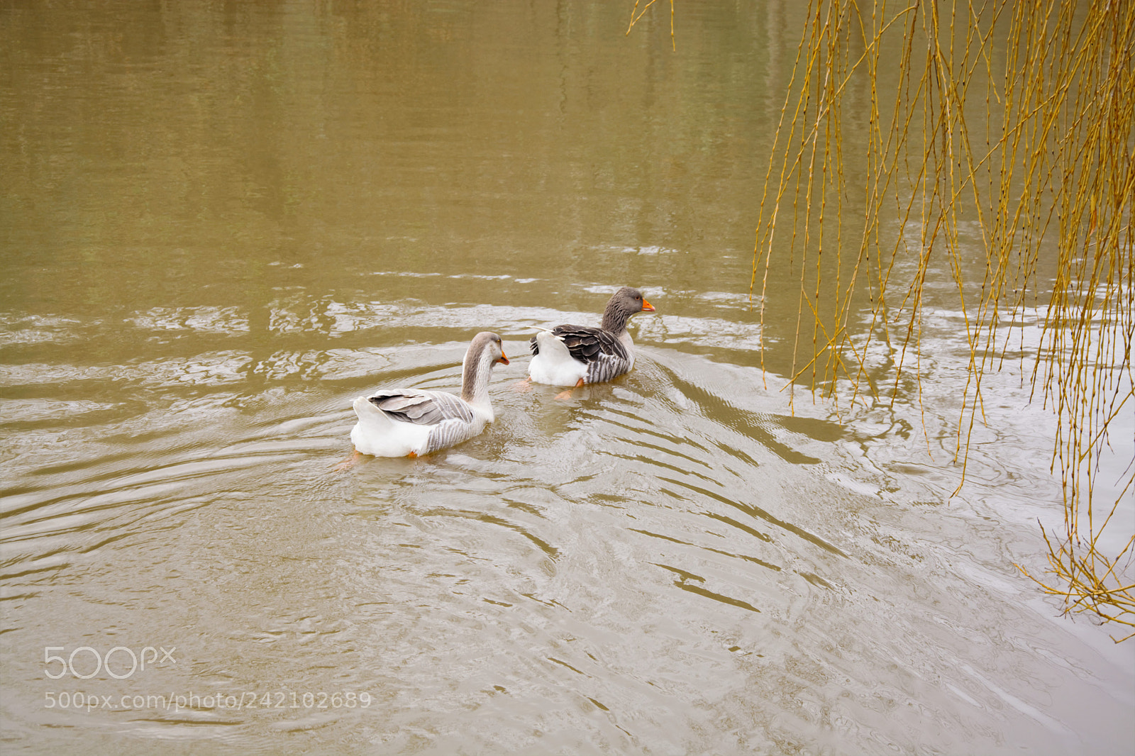 Nikon D7100 sample photo. Travel... photography