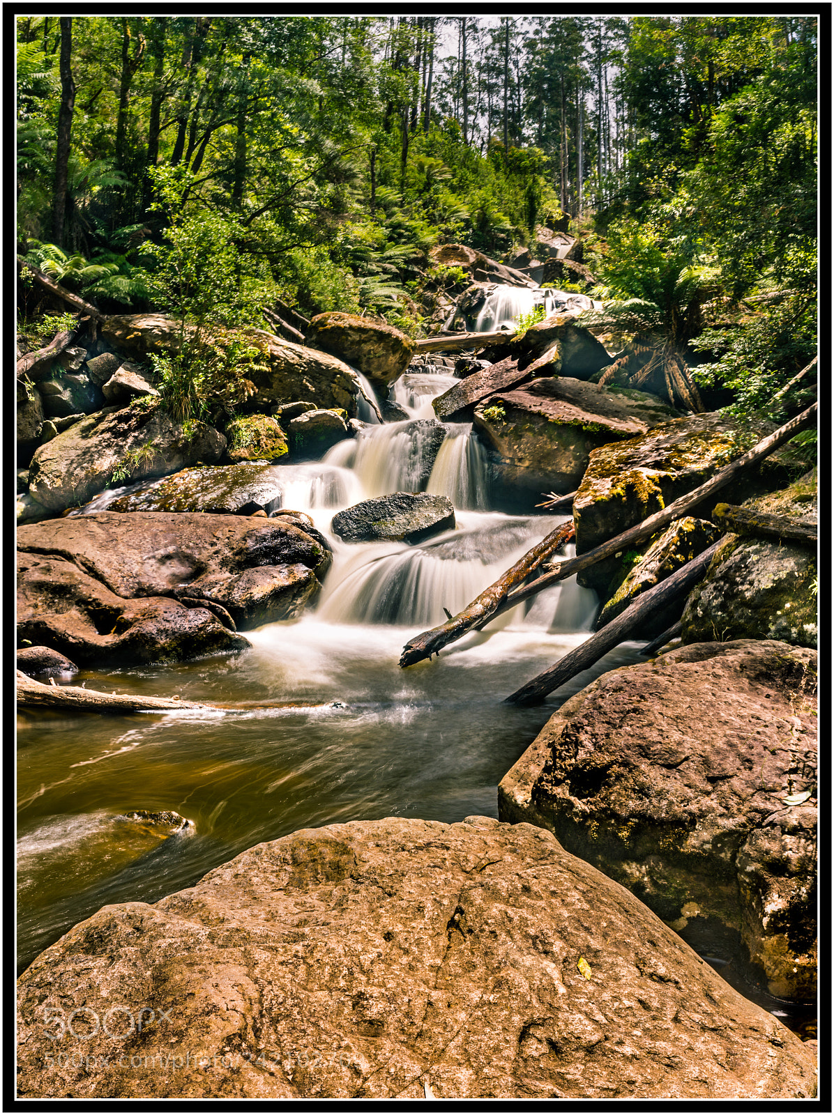 Nikon D7200 sample photo. Keppel falls, marysville photography