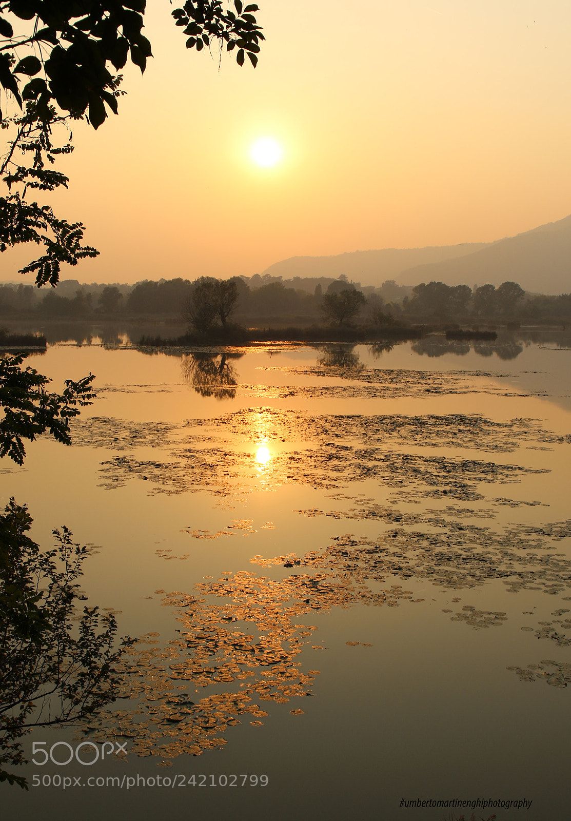 Canon EOS 7D Mark II sample photo. Golden quiet lake photography