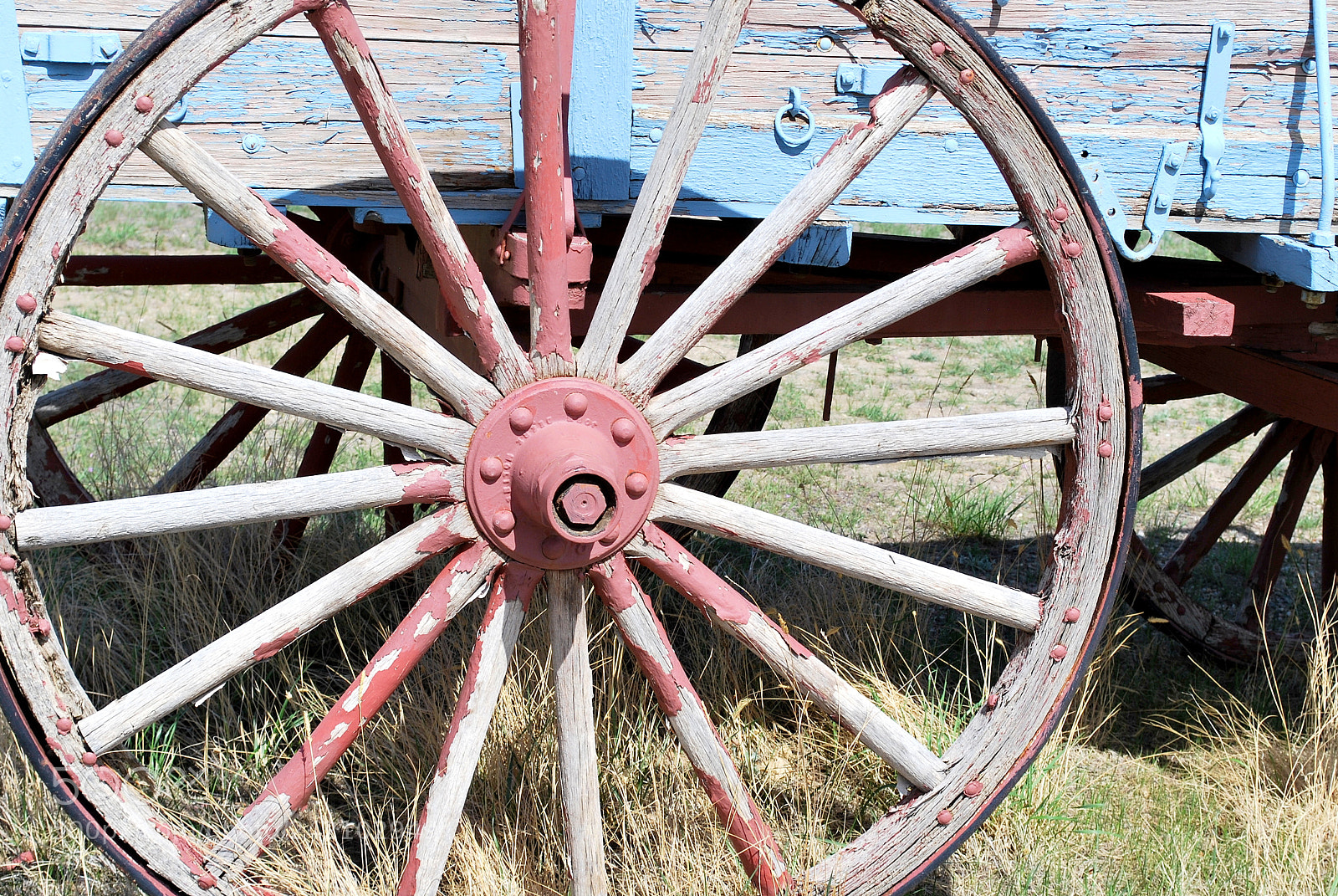 Nikon D60 sample photo. Country western wagon. photography