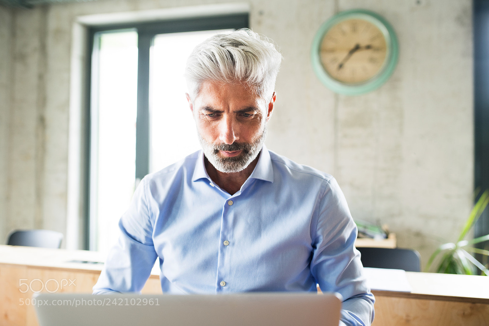Nikon D5 sample photo. Mature businessman with laptop photography