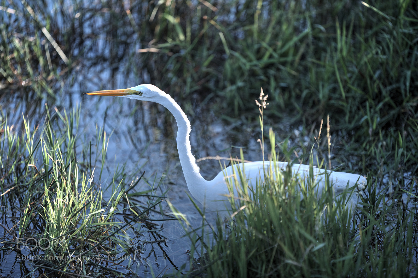 Nikon D850 sample photo. Balanced photography