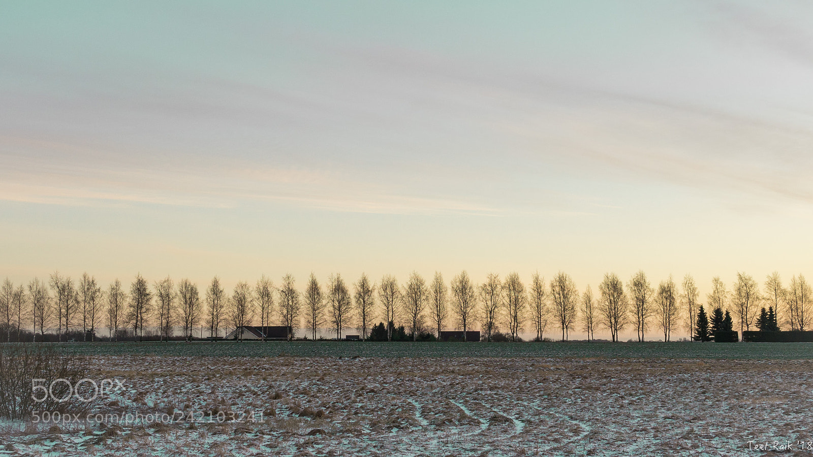 Sony a7 II sample photo. The cold morning photography