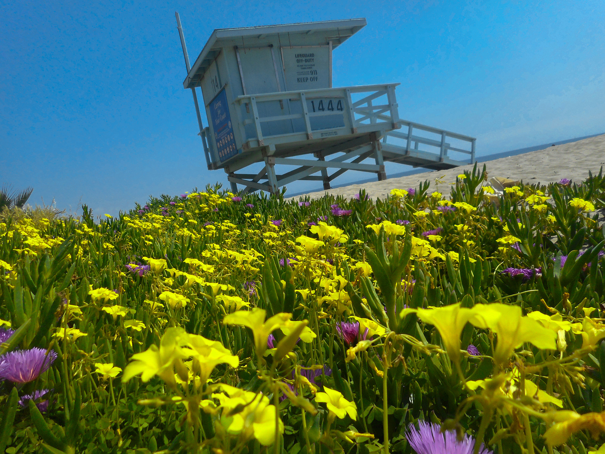 Nikon Coolpix S3700 sample photo. Santa monica beach photography