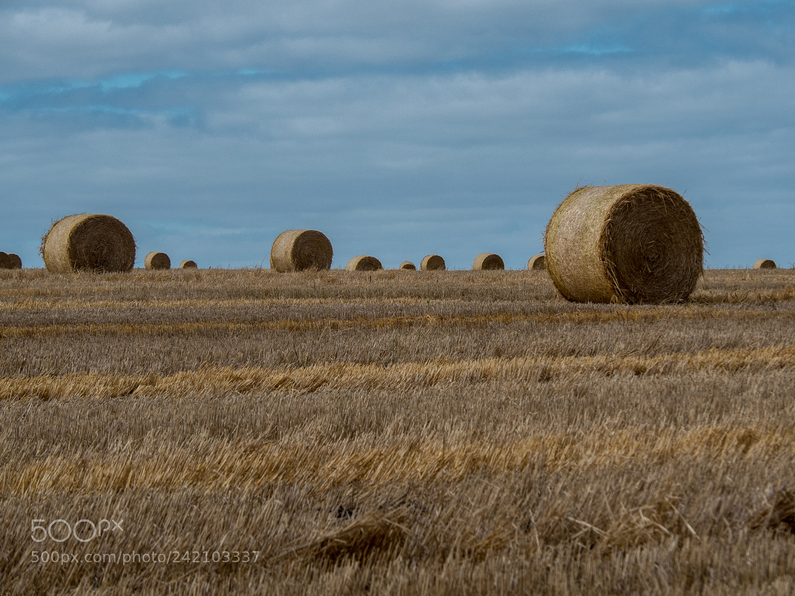 Olympus OM-D E-M5 II sample photo. The great southern land photography