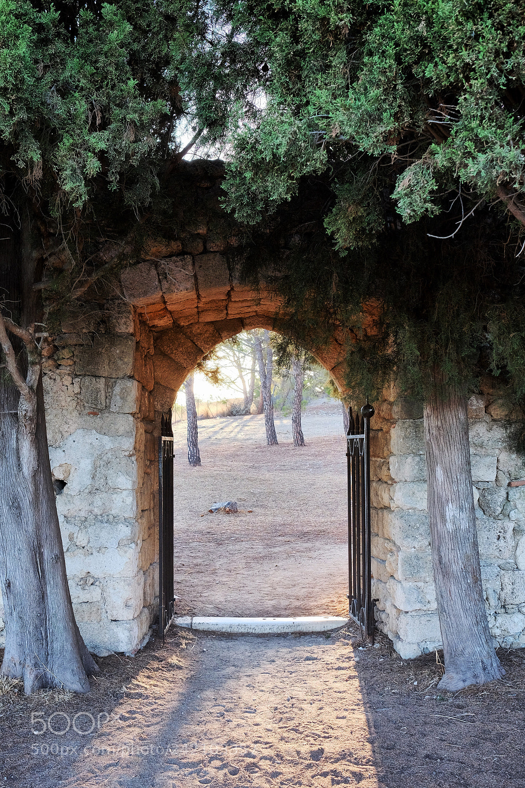 Fujifilm X-T1 sample photo. Philerimos, rhodos photography