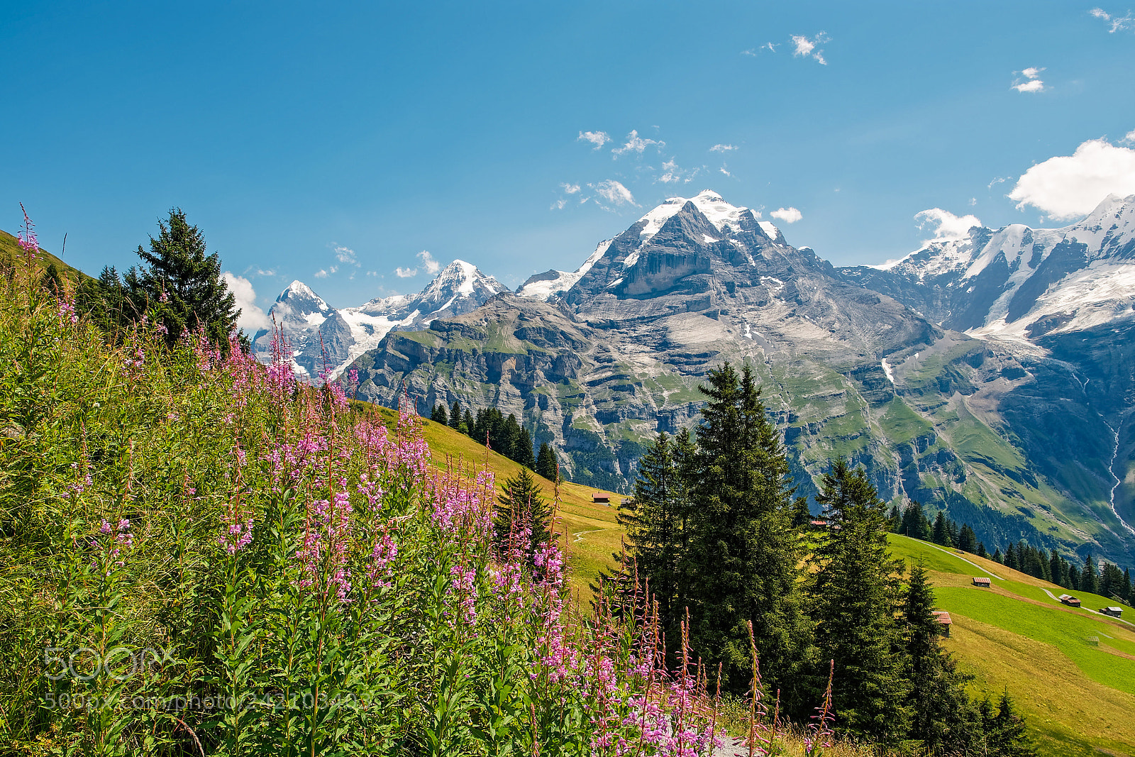 Olympus OM-D E-M1 sample photo. Wanderlust photography