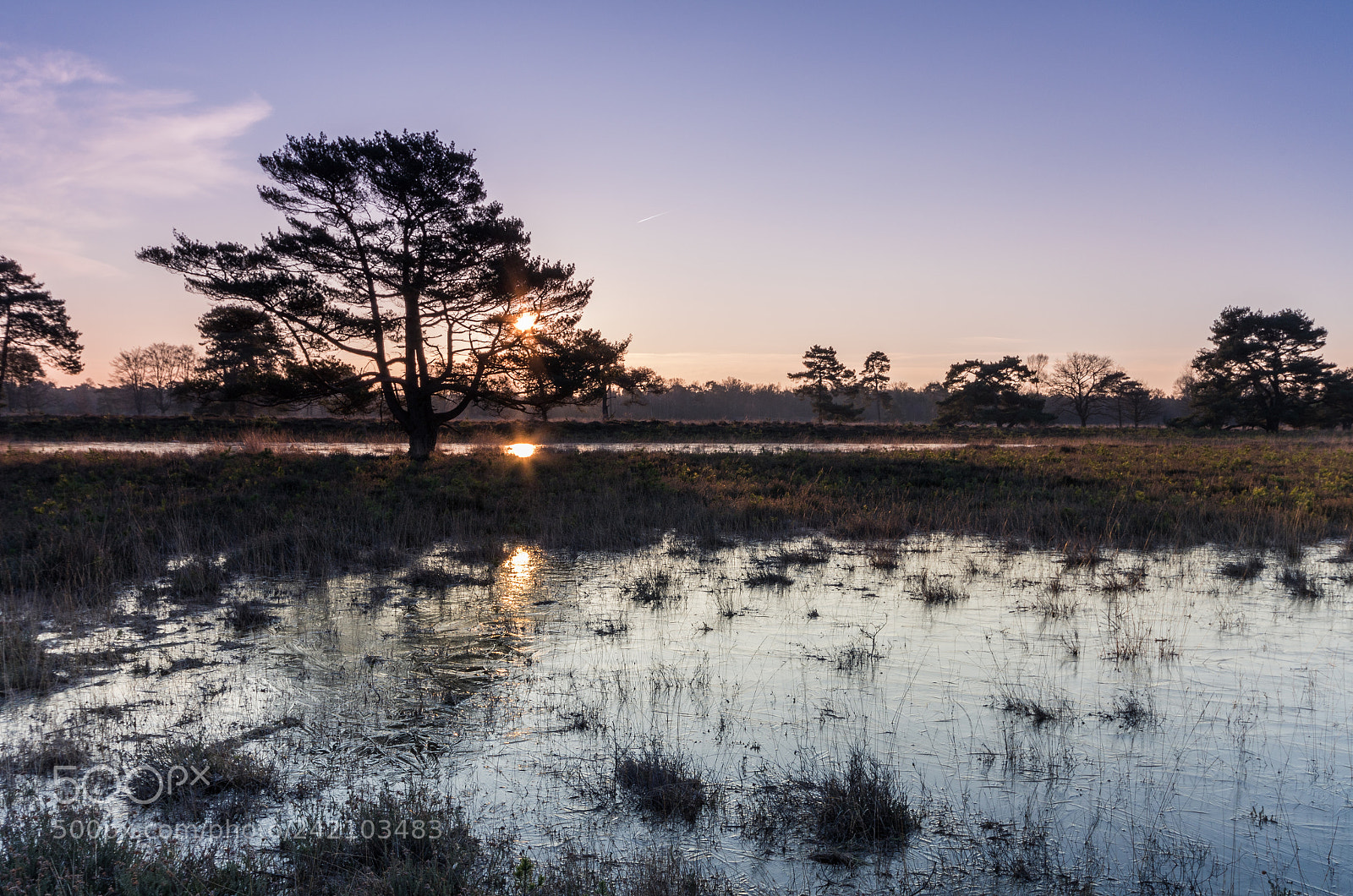 Pentax K-5 sample photo. Sunrise leersumse veld photography