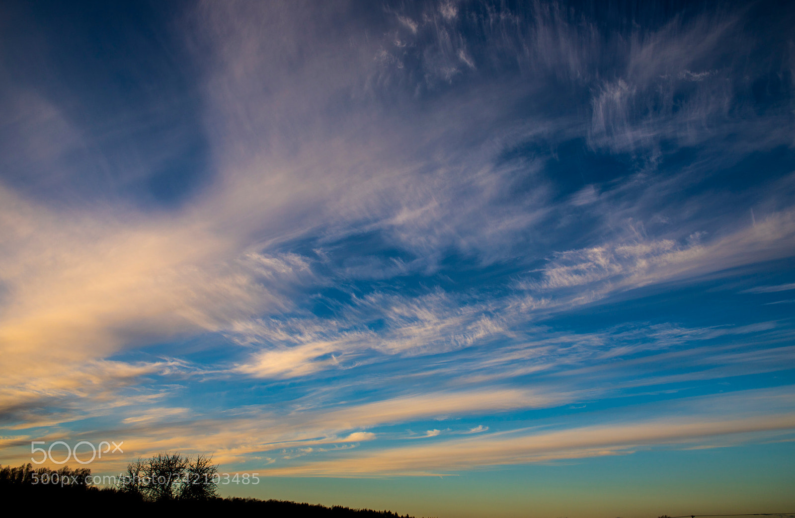 Canon EOS 6D Mark II sample photo. Untitled photography
