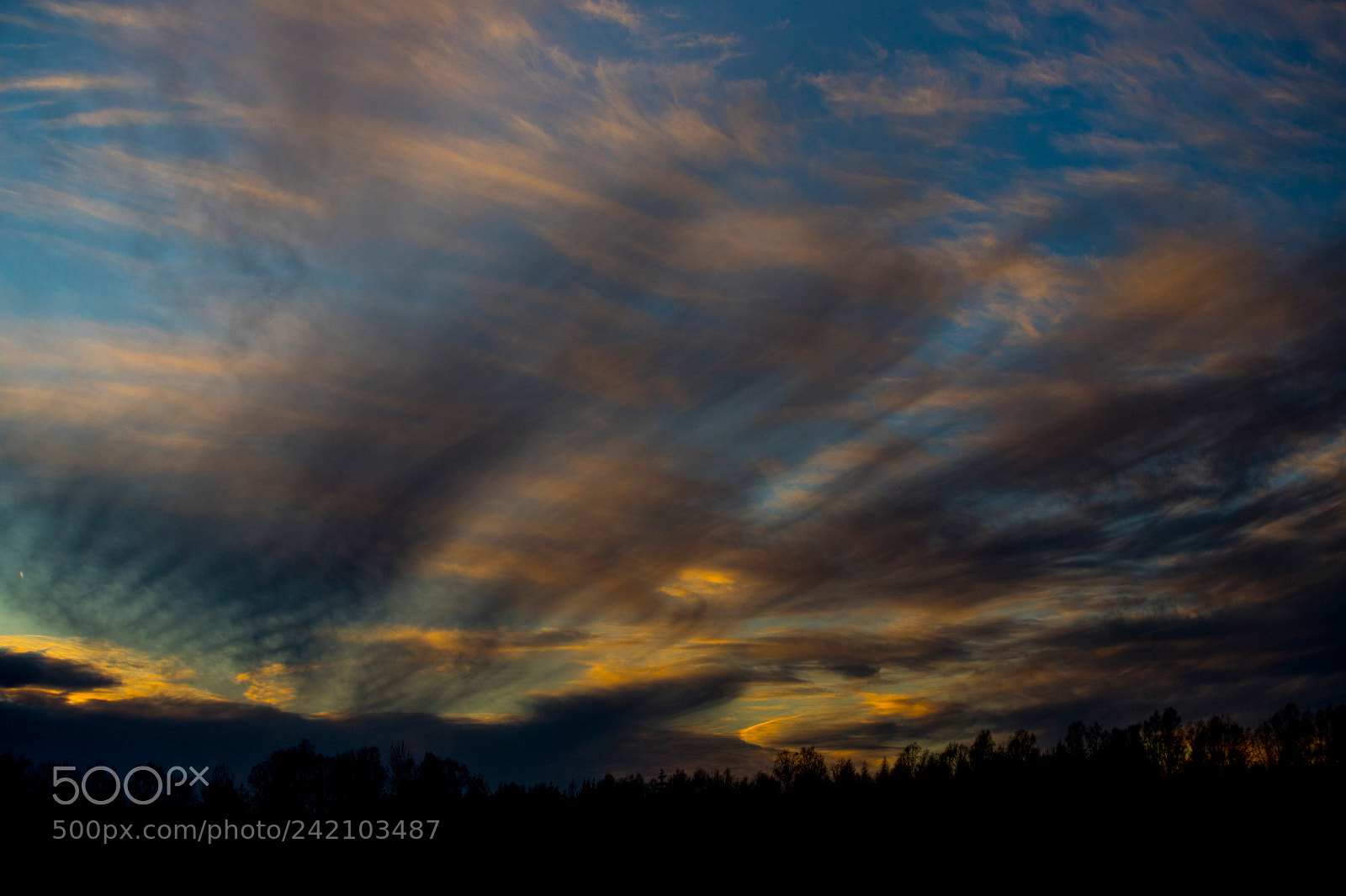 Canon EOS 6D Mark II sample photo. Untitled photography