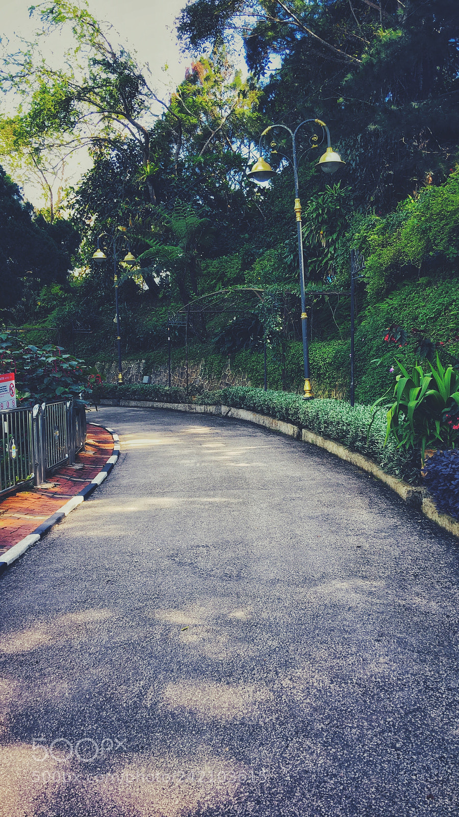 Apple iPhone 6s Plus sample photo. Untitled photography