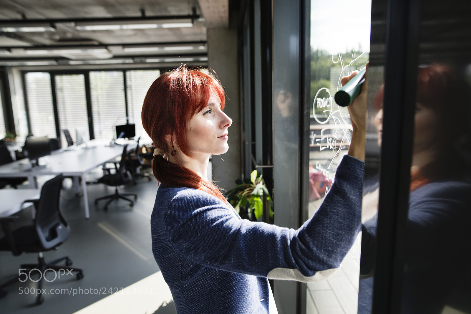 Nikon D5 sample photo. Businesswoman in her office photography
