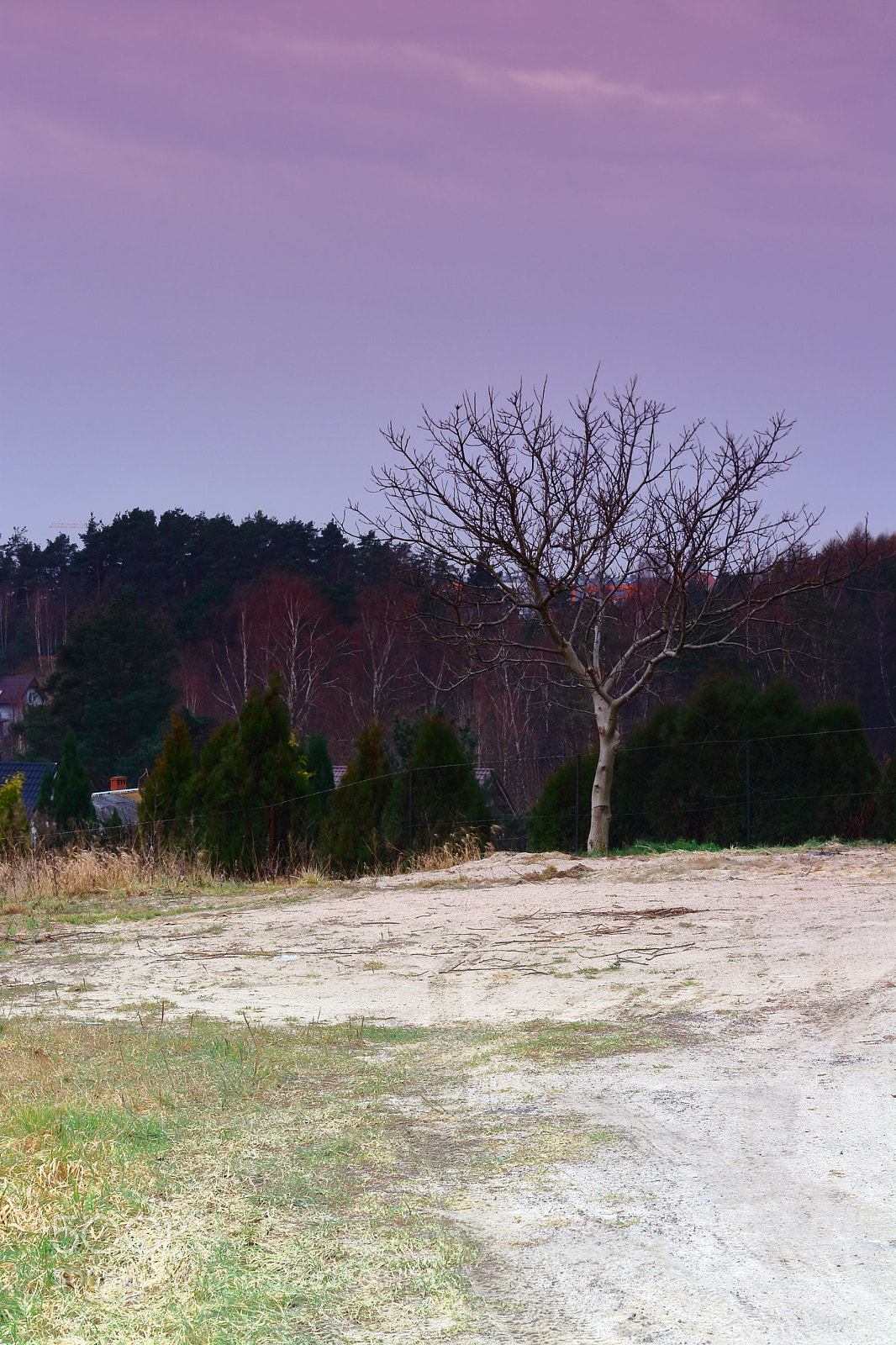 Canon EOS 80D + Canon EF 50mm F1.8 STM sample photo. Somewhere... photography