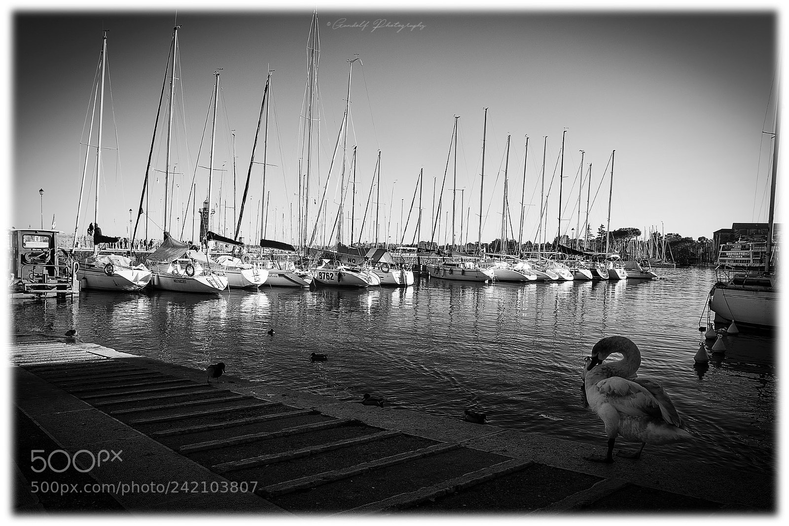 Canon EOS 7D Mark II sample photo. Porto desenzano photography