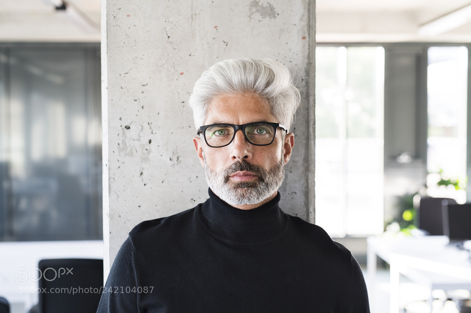 Nikon D5 sample photo. Mature businessman with gray photography