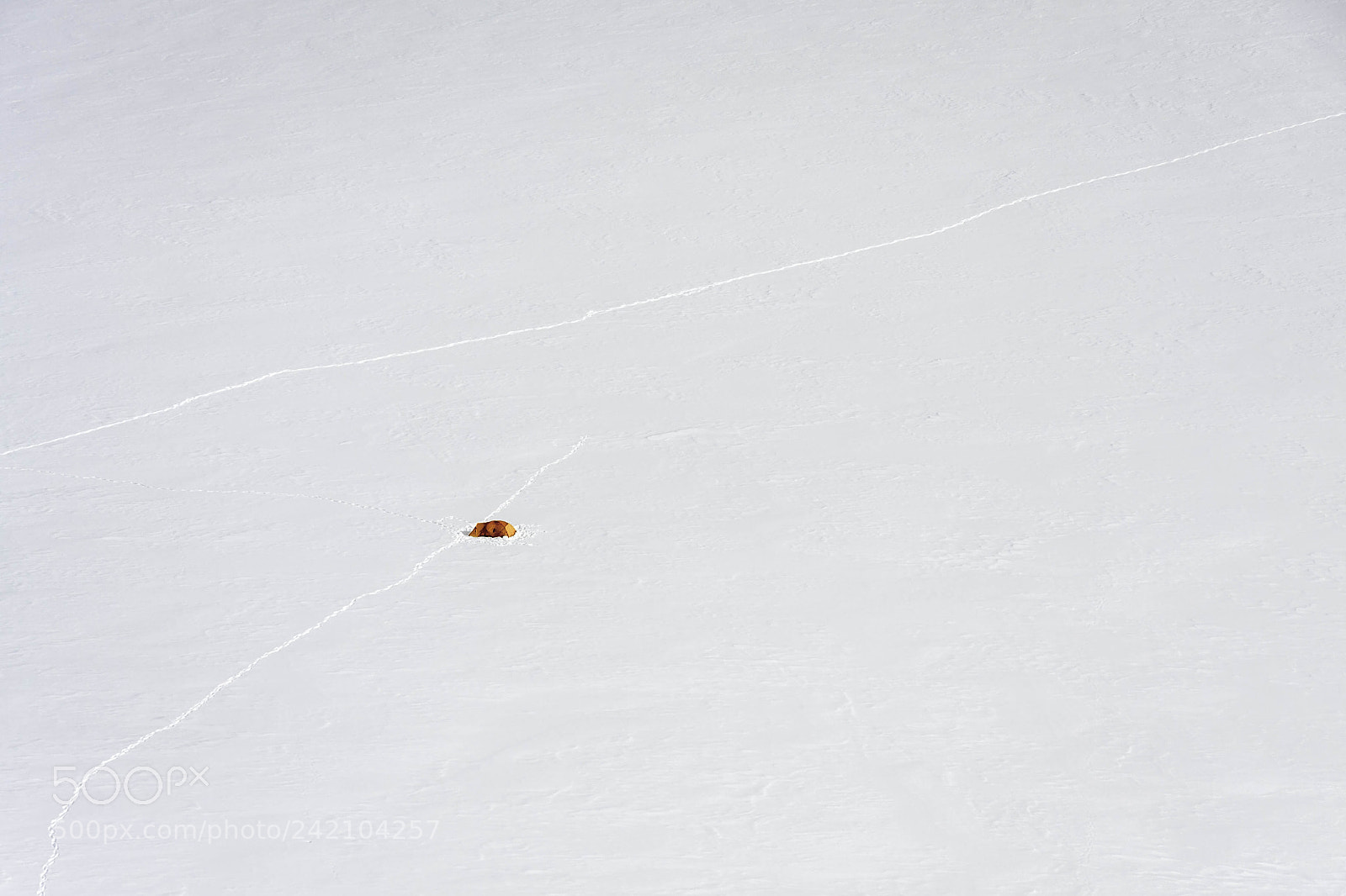 Canon EOS 40D sample photo. Orange tent on monte photography