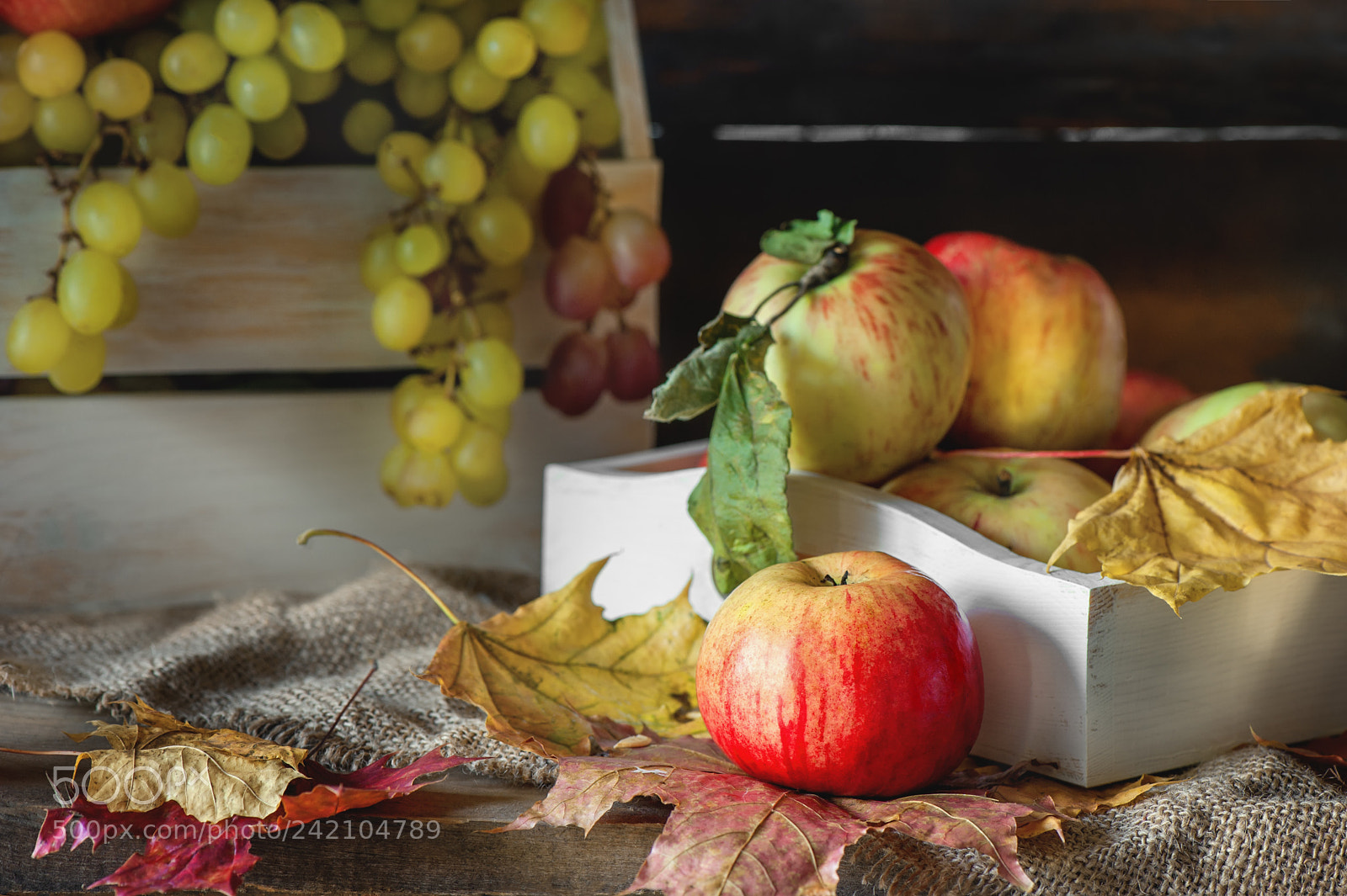 Nikon D700 sample photo. Autumn still life of photography