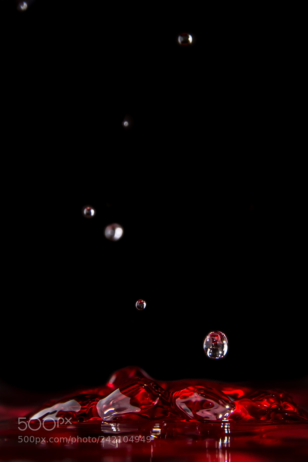 Nikon D7100 sample photo. Untitled photography