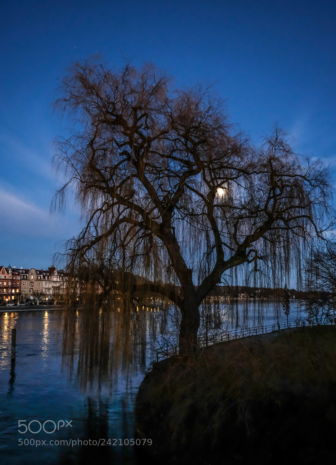 Fujifilm X-T2 sample photo. Trauerweide mit mond photography