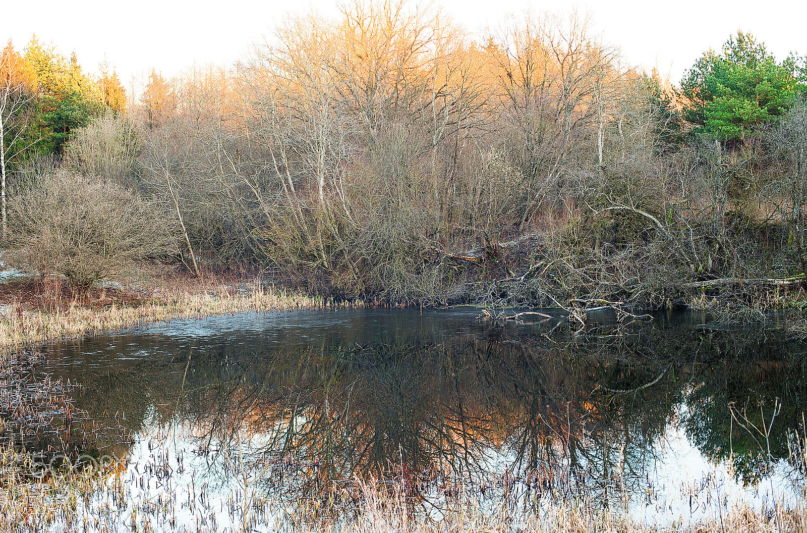 Nikon D3 sample photo. Reflections photography