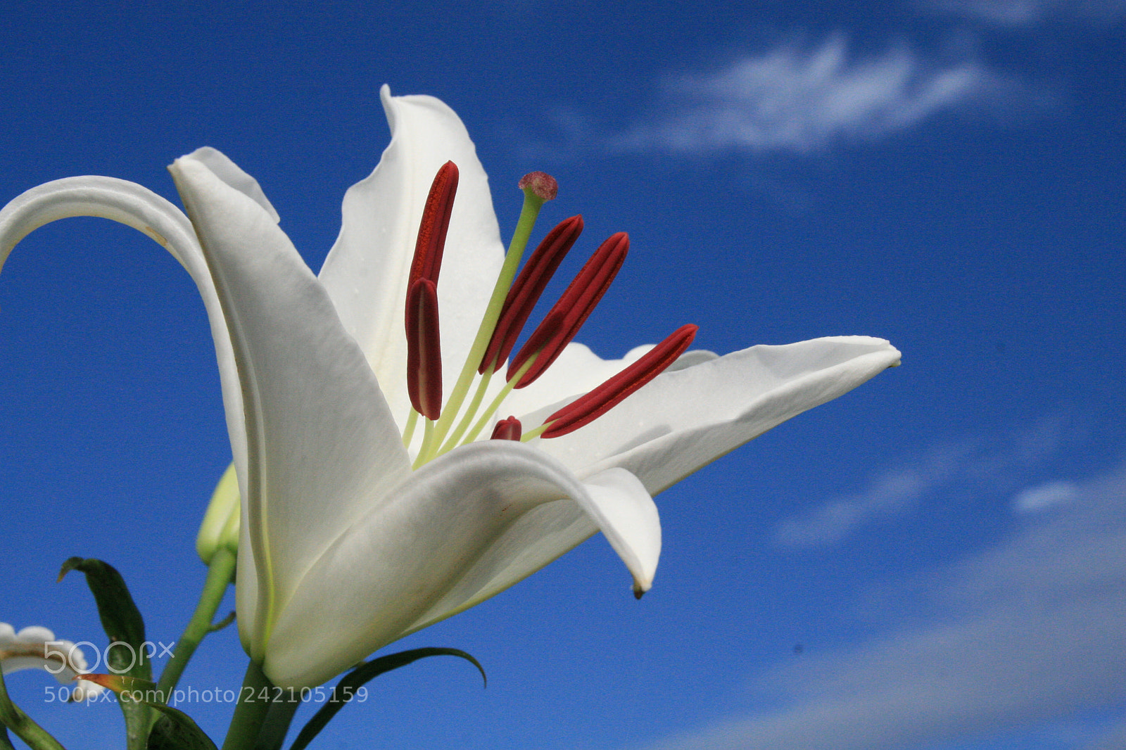 Canon EOS 30D sample photo. Untitled photography