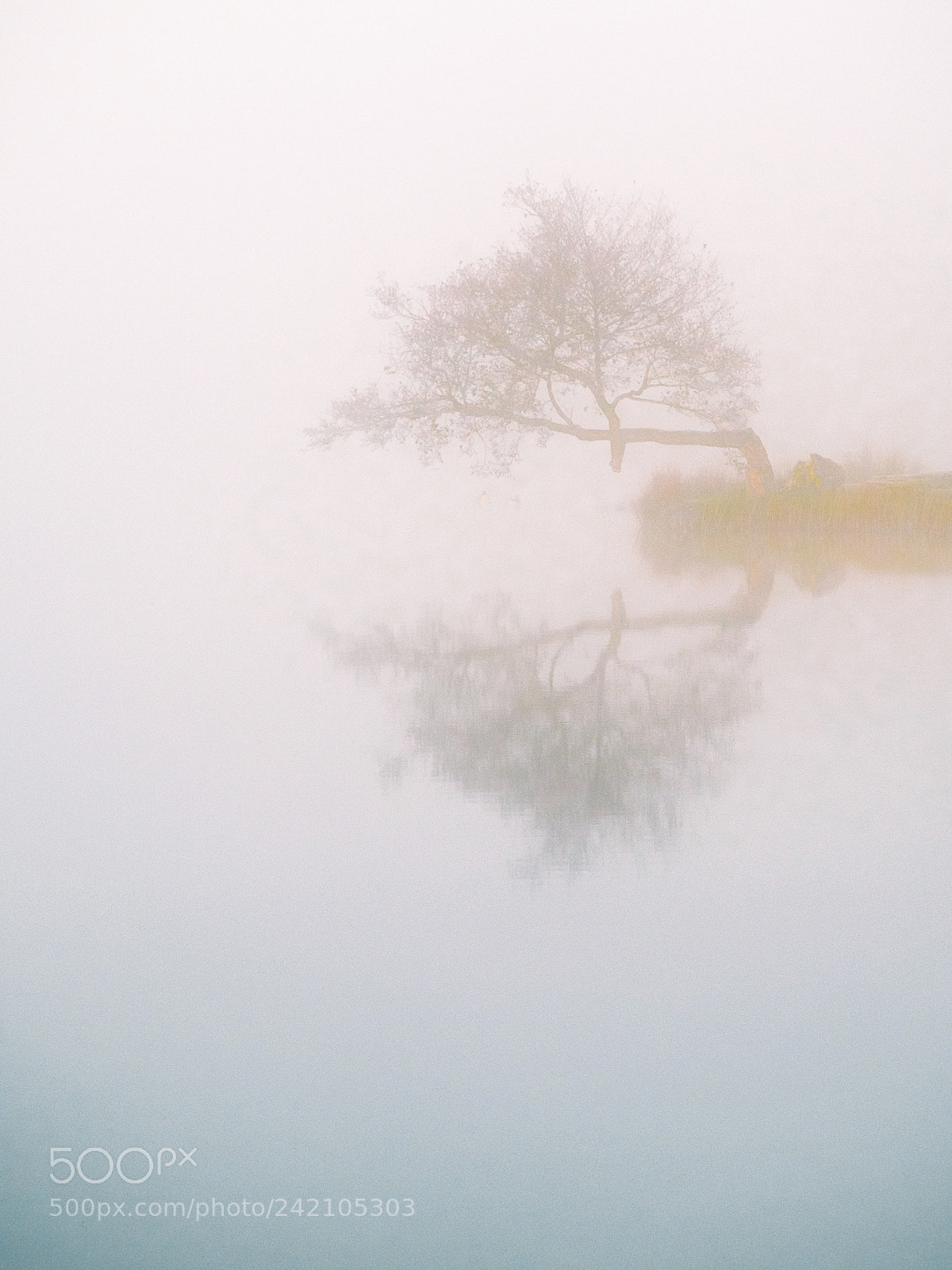 Olympus OM-D E-M5 II sample photo. Loughrigg tarn, lake district photography