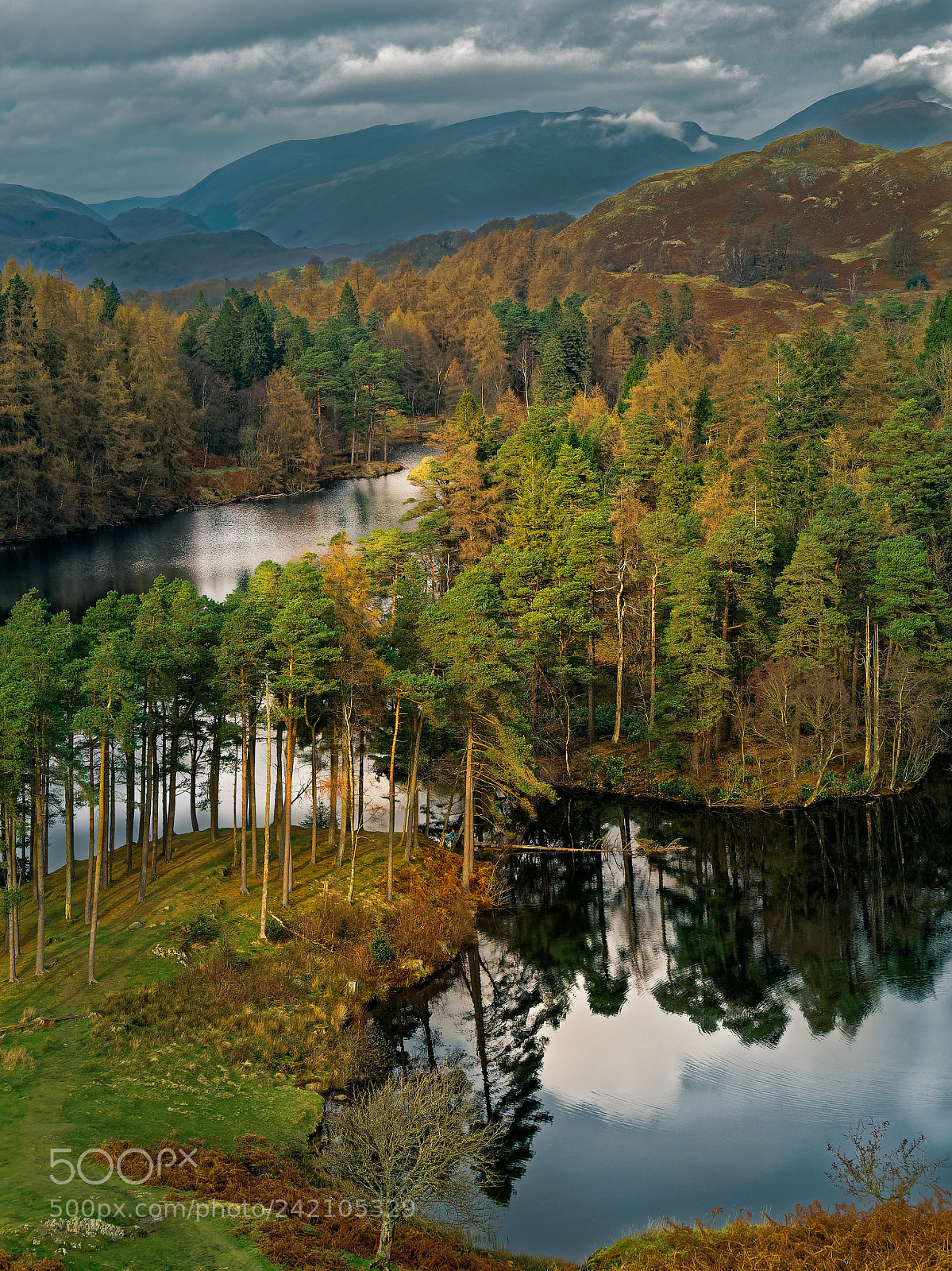 Olympus OM-D E-M5 II sample photo. Tarn hows, coniston, lake photography