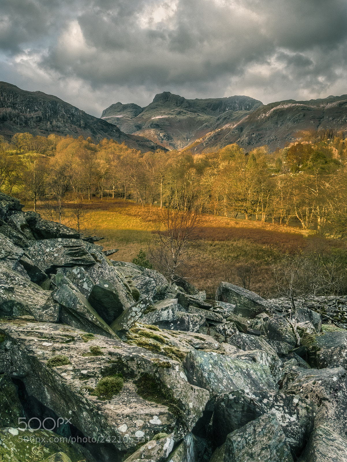 Olympus OM-D E-M5 II sample photo. The langdales from yew photography
