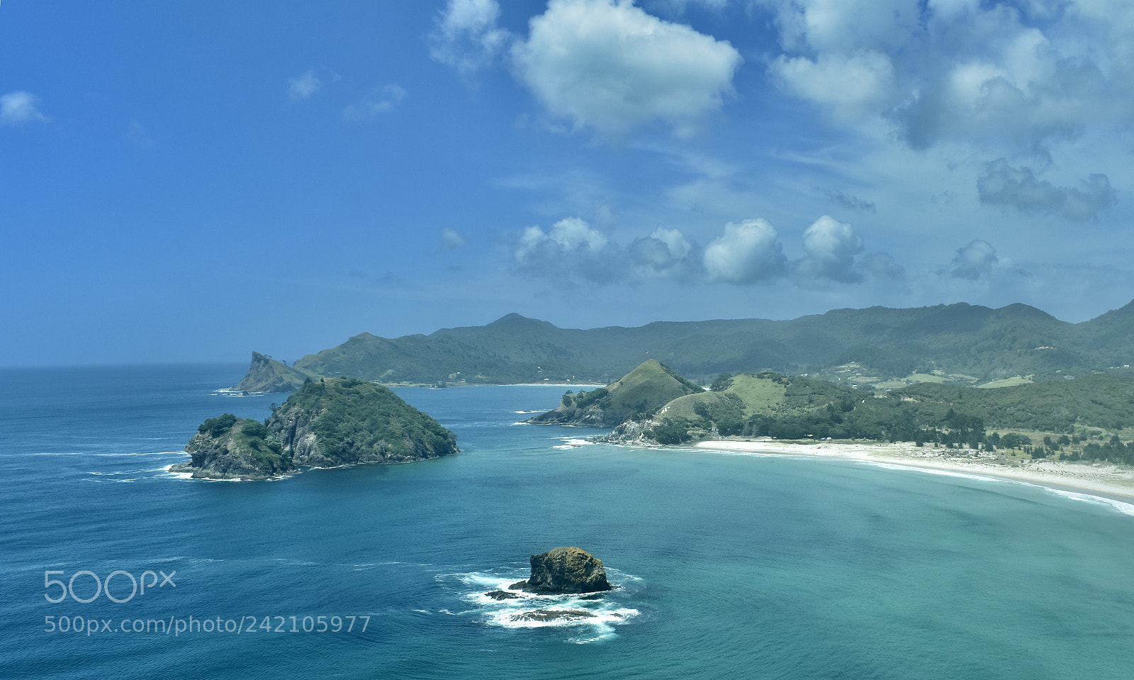 Nikon D3400 sample photo. Great barrier island！ photography